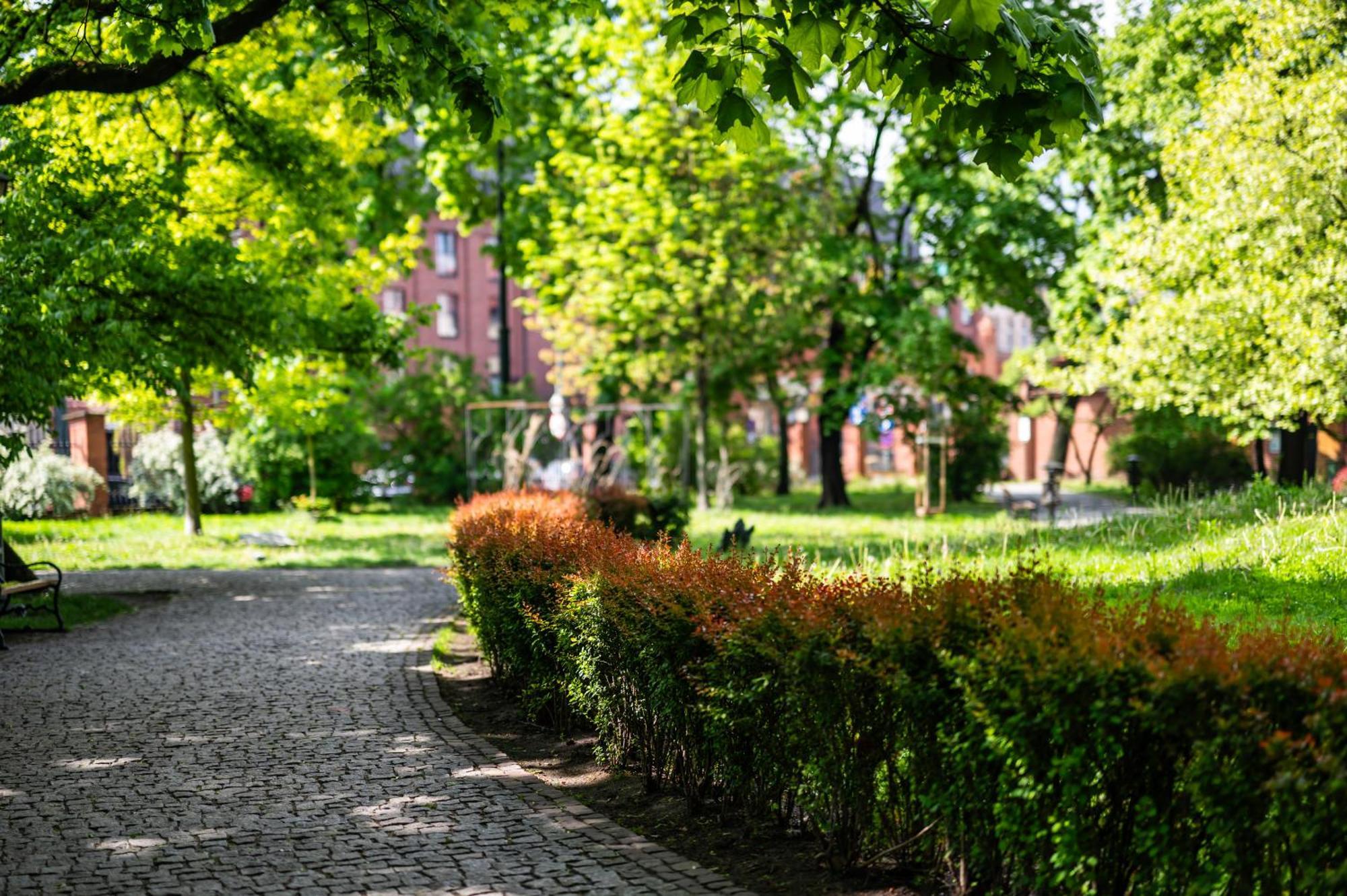 Апартаменты Katania Moxy Te&Am Cracow Краков Экстерьер фото